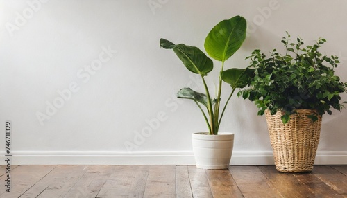 hallway with white wall and plant mockup template