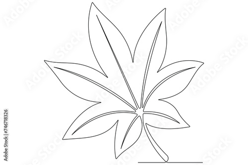 Continuous one line art drawing maple leaf botanical decorative symbol outline vector art illustration   © Shemol