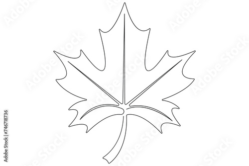Continuous one line art drawing maple leaf botanical decorative symbol outline vector art illustration 