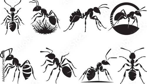 Ant silhouette vector illustration © CreativeDesigns