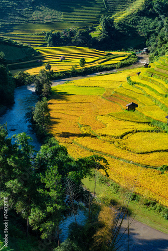 Fototapeta Naklejka Na Ścianę i Meble -  Rice fields on terraced of Mu Cang Chai, YenBai, Vietnam.