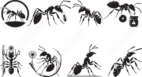 Ant silhouette vector illustration © CreativeDesigns