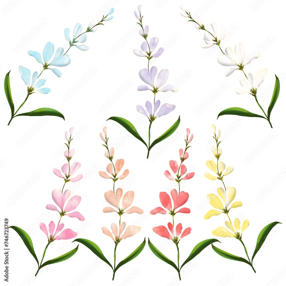 Watercolor set of flowers on a white background. Isolated twigs. Hand drawn. Watercolor set of flowers on a white background. Isolated twigs. Hand drawn.