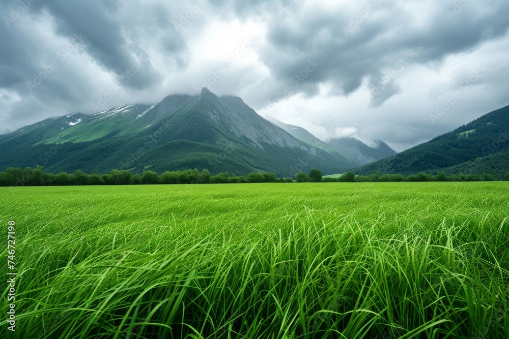 Scenic green meadow with mountains in the distance