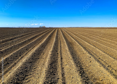 An empty farm field with rows in spring