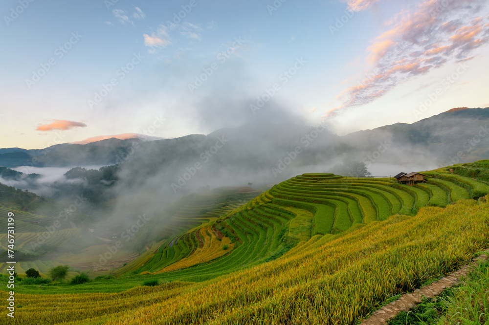 Fototapeta premium Rice fields on terraced of Mu Cang Chai, YenBai, Vietnam.