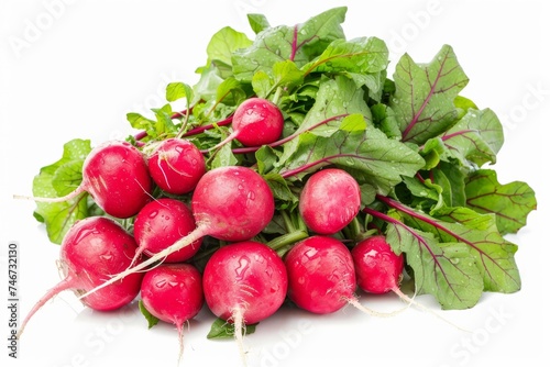 Radish, isolated on white background