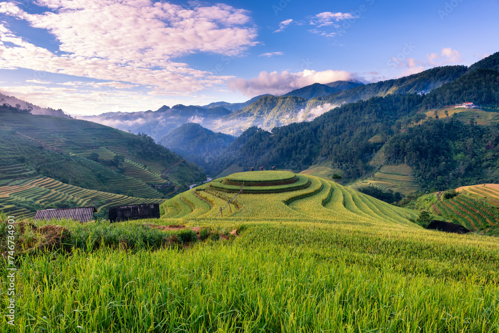 Rice fields on terraced of Mu Cang Chai, YenBai, Vietnam.