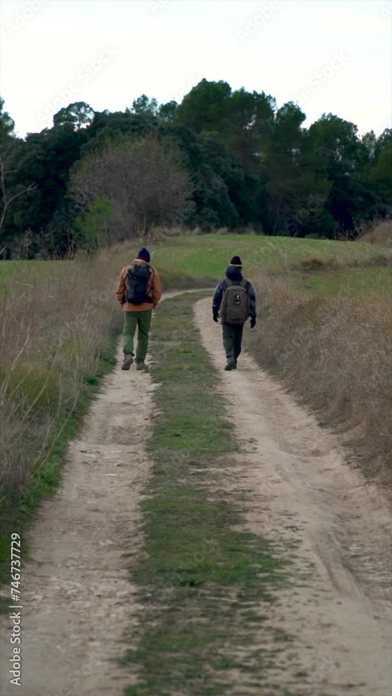 Slow motion, back view to two hikers walking together on a path Slow motion, back view to two hikers walking together on a path
