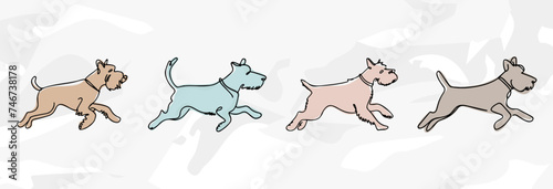Schnauzer Hunde: Lineart Vektorgrafik-Bündel photo