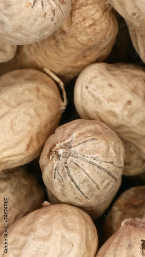 Raw Peanuts With Shells Rotating. Extreme Close Up. Macro. Top View. Raw Peanuts With Shells Rotating. Extreme Close Up. Macro. Top View.