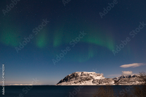 Green colored northern lights dance in the sky above snowy mountains on the Lofoten Islands in Norway © Menyhert