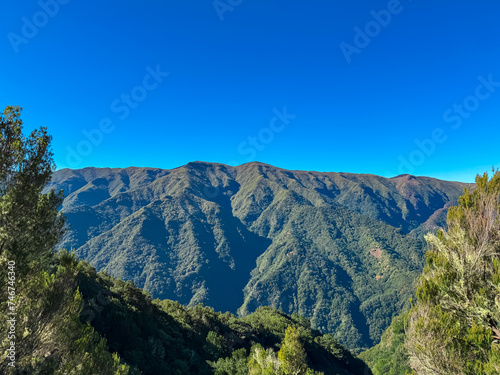 Panoramic view of lush fresh green mountains and hills seen from subtropical Laurissilva forest Fanal, Madeira island, Portugal, Europe. Idyllic trail along laurel trees. Dense diversified fauna