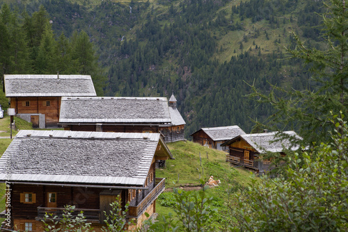 Kamelisenalm in Osttirol