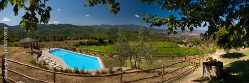 piscina con vitigno photo
