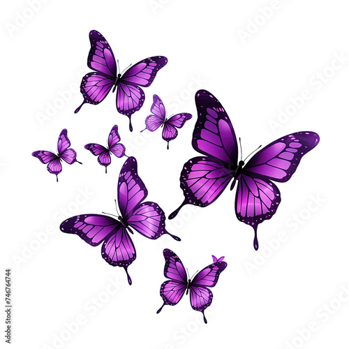 Soaring purple butterflies isolated on white or transparent background