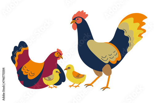 Chicken family. Chicks, rooster, hen. Cute lovely family of domestic fowl or poultry birds.