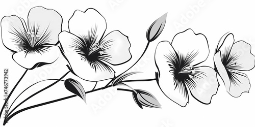 Black and white flowers, sketch, clipart, lineart, ink. Generative ai