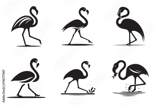 Flamingo icon vector art illustration photo