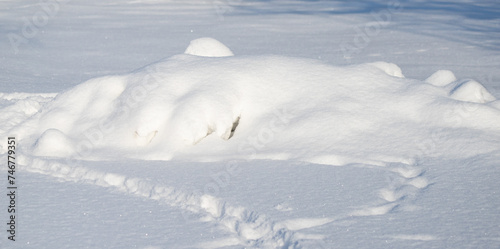 background of white snow under the sun