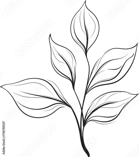 Organic Foliage Vector Emblem Design Leafy Sketch Hand Drawn Logo Icon © BABBAN
