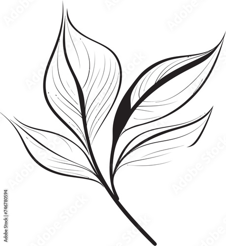 Natural Strokes Plant Leaves Emblem Handcrafted Greens Vector Logo Design © BABBAN