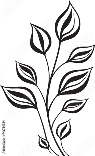 Dainty Drawings Black Vector Logo Icon Eco Sketches Plant Leaves Emblem Design © BABBAN
