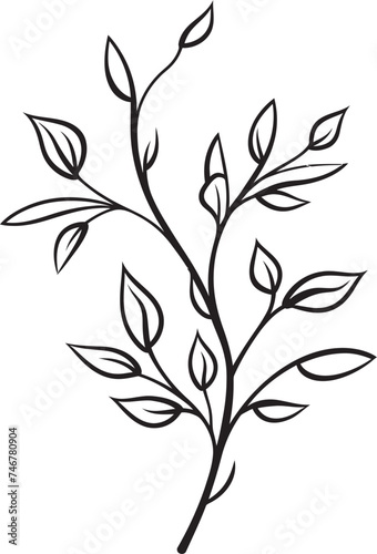 Hand Drawn Botany Black Vector Leaf Icon Inked Botany Plant Leaves Emblem Badge © BABBAN