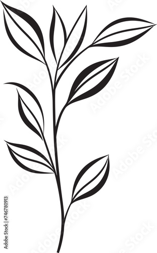 Eco Sketches Hand Drawn Leaf Icon Botanical Sketches Black Vector Leaf Logo Design