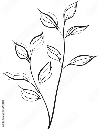 Sketchy Foliage Black Vector Leaf Graphic Artistic Flora Plant Leaves Badge Design