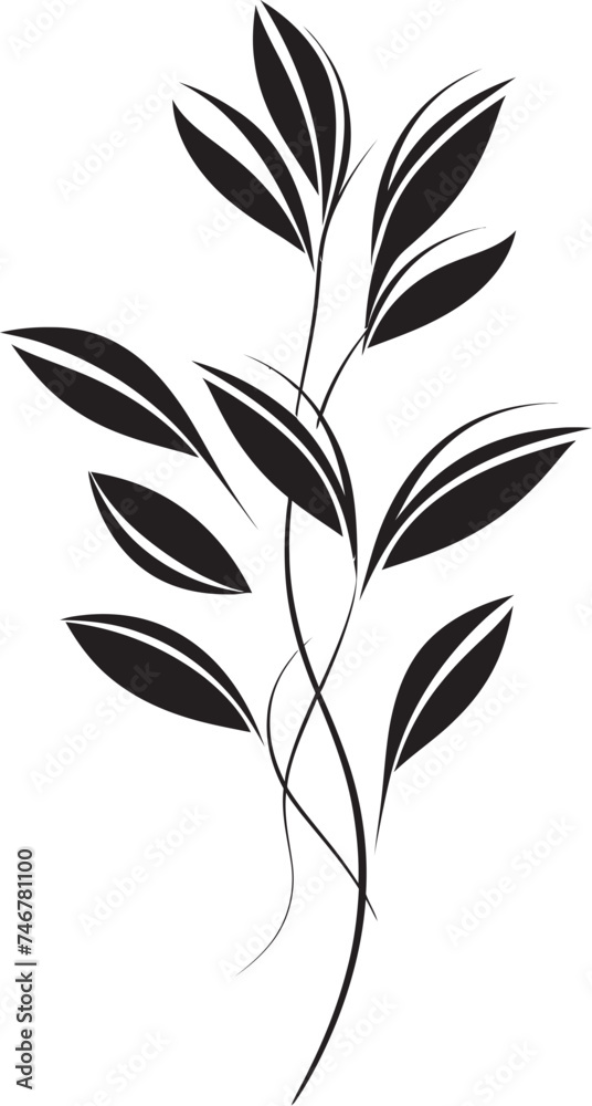 Hand Drawn Botany Plant Leaves Graphic Badge Inked Leaves Vector Leaf Icon Design