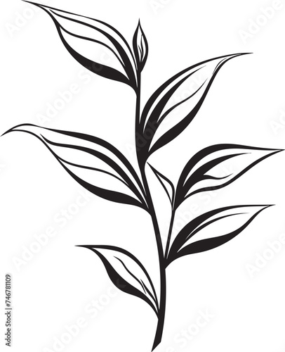 Inked Leaves Vector Leaf Icon Design Botanical Beauty Black Vector Leaf Emblem Icon © BABBAN