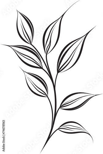Leafy Doodles Plant Leaves Emblem Icon Natural Strokes Vector Leaf Badge Design