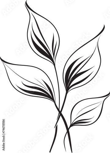Botanical Breeze Black Vector Leaf Logo Design Handcrafted Greens Plant Leaves Emblem Badge © BABBAN
