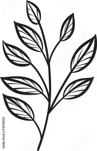 Leafy Sketches Black Vector Icon Sketchy Foliage Plant Leaves Badge © BABBAN