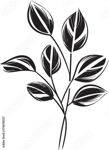 Botanical Sketchbook Black Vector Emblem Leafy Harmony Plant Leaves Icon