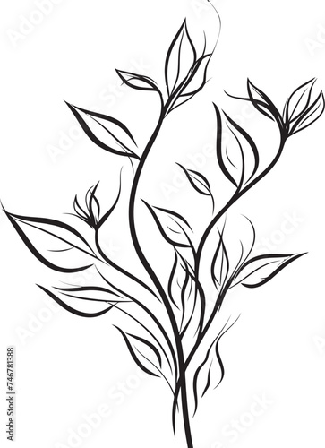 Leafy Lines Plant Leaves Icon Badge Sketchy Greens Vector Logo Emblem