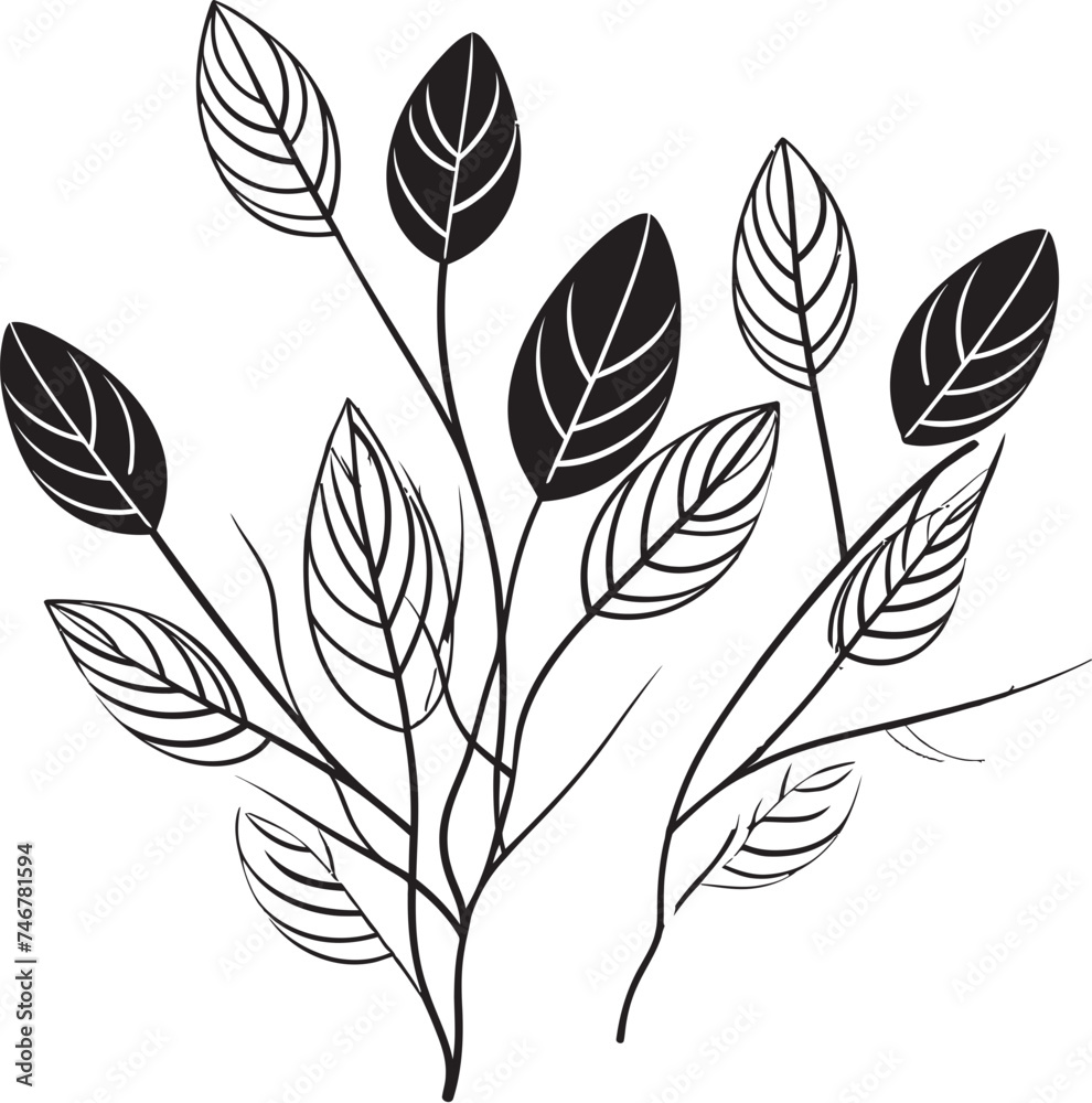 Leafy Sketch Hand Drawn Leaf Emblem Botanical Beauty Black Vector Logo Badge Leafy Sketch Hand Drawn Leaf Emblem Botanical Beauty Black Vector Logo Badge