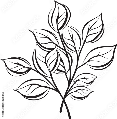 Botanic Illustration Vector Emblem Design Sketchy Sprouts Hand Drawn Logo Icon