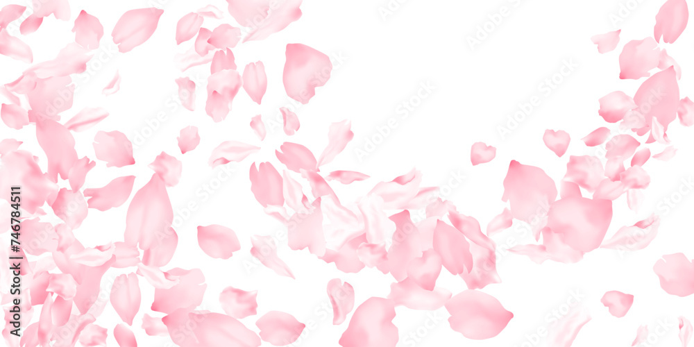 Pink sakura flower flying petals isolated on white. Natural beauty salon background. Japanese sakura petals seasonal confetti, blossom elements flying. Falling cherry bloom flower parts design.