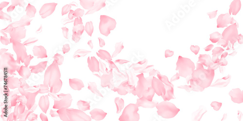 Pink sakura flower flying petals isolated on white. Natural beauty salon background. Japanese sakura petals seasonal confetti, blossom elements flying. Falling cherry bloom flower parts design. © SunwArt