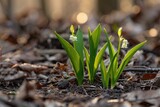 A close-up of a small plant, fragrant lilies of the valley, breaking through the ground, symbolizing growth and new beginnings in nature