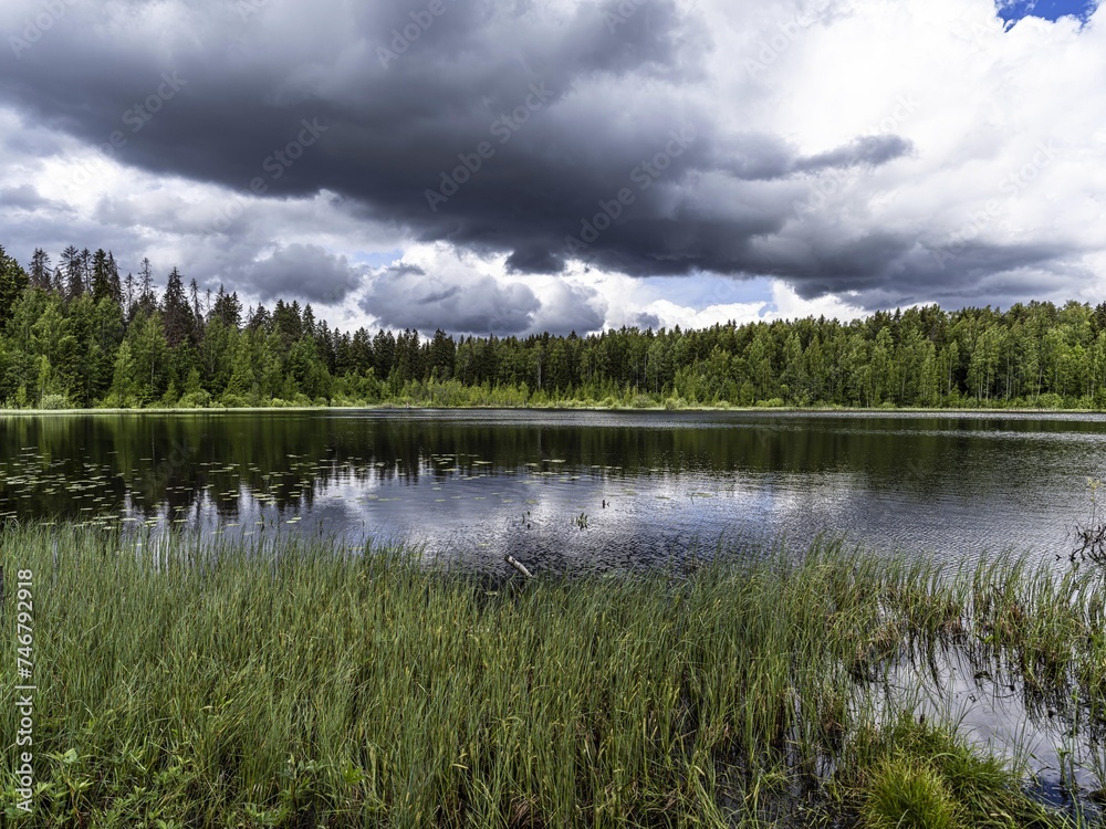 Fototapeta premium Beautiful landscape on the Vsevolozhsk Lakes, in the Leningrad region in North-West Russia