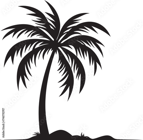 Beachside Breeze Vector Graphic of Coastal Sunset Palm Paradise Black Logo Design of Tropical Seaside