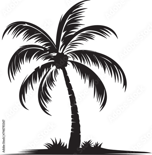 Palm Coast Icon Iconic Black Logo Design of Tropical Serenity Beach Bliss Vector Graphic of Palm Tree and Ocean