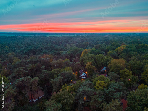 sunset in the forest