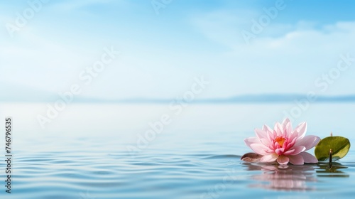 Beautiful lotus flower on the water with copy space for background