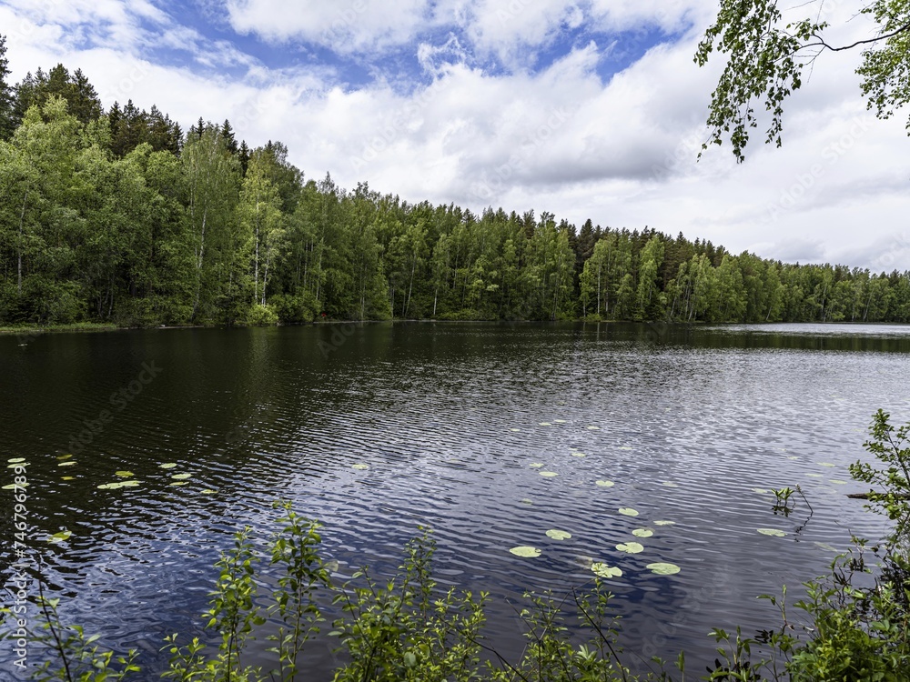 Obraz premium Beautiful landscape on the Vsevolozhsk Lakes, in the Leningrad region in North-West Russia