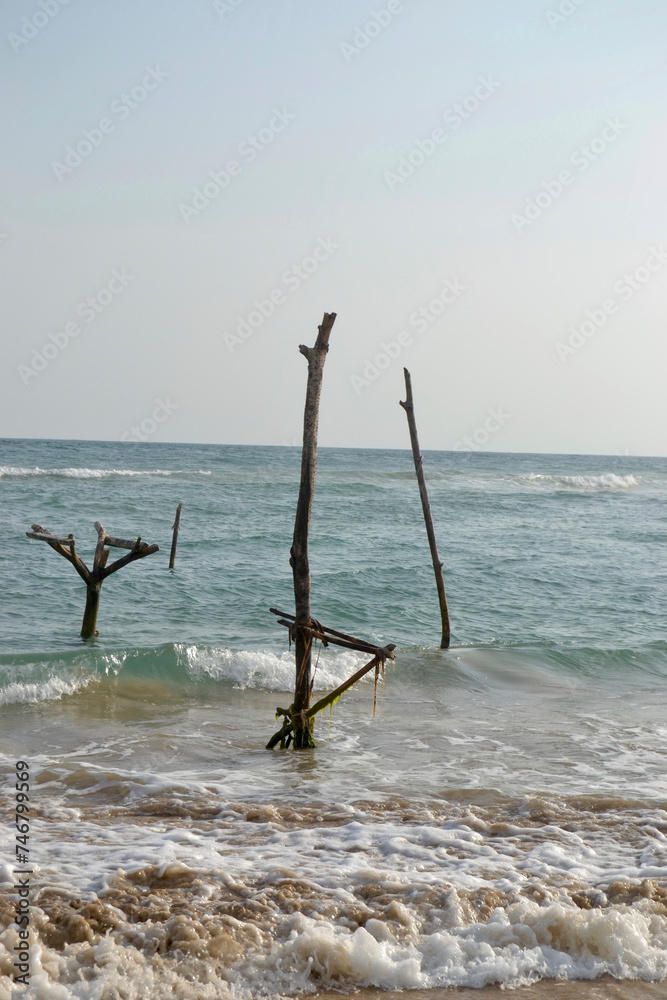 Fishing sticks on the beach