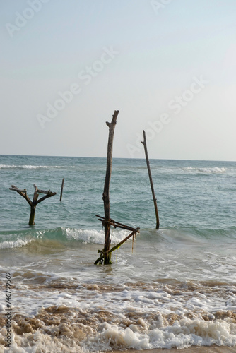 Fishing sticks on the beach